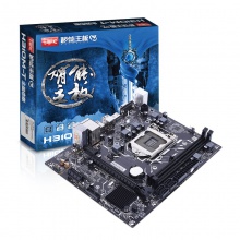 七彩虹H310-T